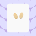 Par de figuras óvalo: Aretes DIY de madera